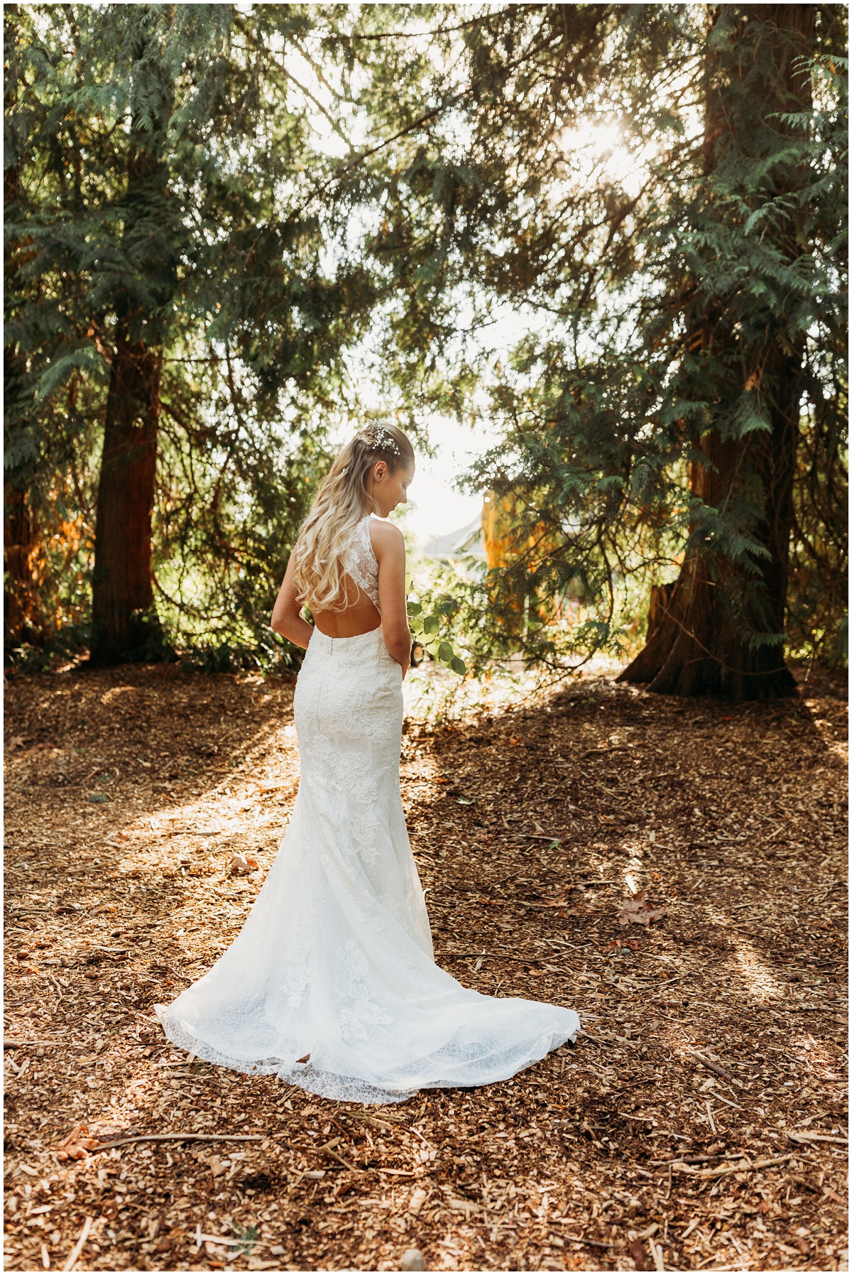 photo of back of bride in wedding dress | glenwood treefarm tacoma washington photographer