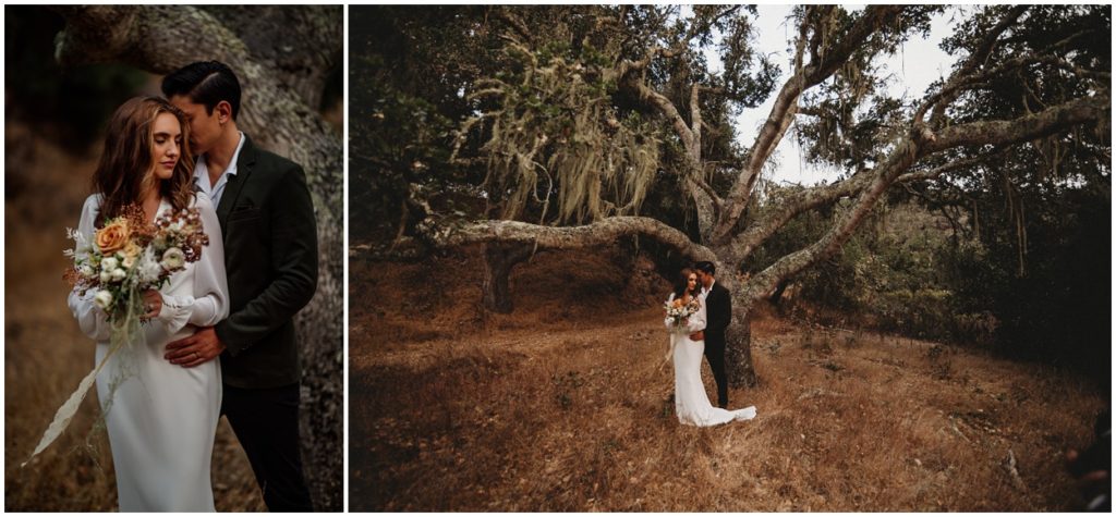 bride and groom standing in monterey mountain by tree