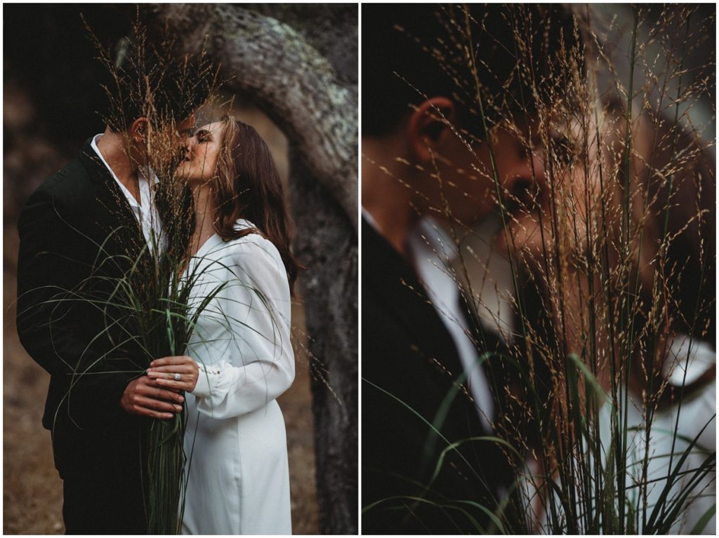 bride and groom holding grasses